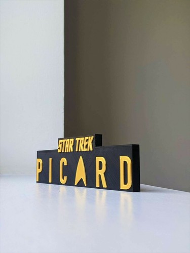 Star Trek Picard Logo Display Beena Studio - Picture 2 of 3