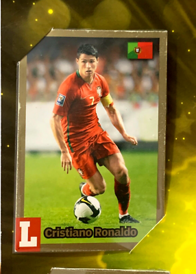 PORTA CARDS WORLD FOOTBALL STARS 2010 by LIBERO - Album Complete