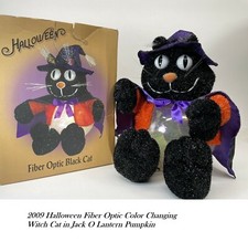 Halloween  Light Fiber Optic Color Changing A...