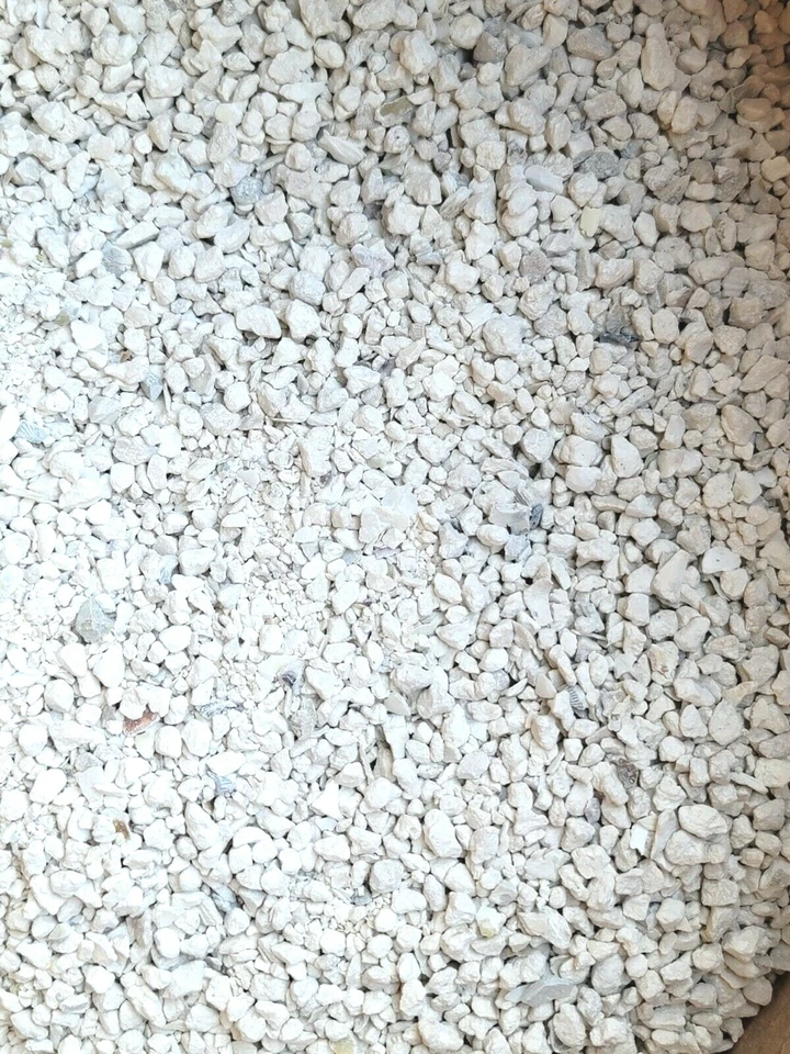 Oyster Shell Crushed Calcium Chickens Ducks Crabs Heat Treated Egg Supplement - Image 3 of 3