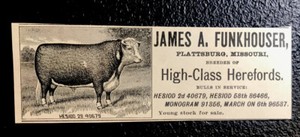 1900 Funkhouser Farm Cattle Advertising - Plattsburg - Missouri - Cow