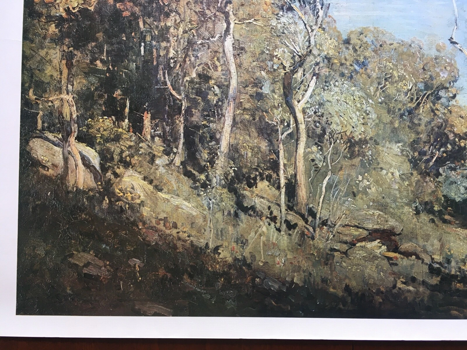 Picture 14 of 24