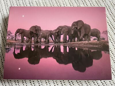 Into Africa: Blank Boxed Notecards by Frans Lanting 9781608878864 | Brand New