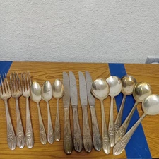 WM Rodgers MFG. Co. Extra Plate Triumph Pattern Bundle 15 pieces Vintage 1940's