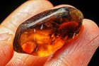 38.5Ct VVS Yellow Golden Champagne Imperial Topaz Specimen Facet Rough YTHV245 — photo 2