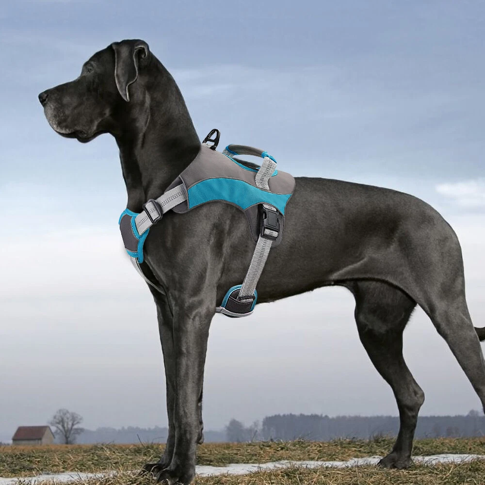 Dog Harness Mesh Padded Reflective Large Dogs Training Vest No Pull for Pit Bull Dog Harness Mesh Padded Reflective Large Dogs Training Vest No Pull for Pit Bull