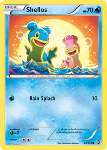 1x Shellos 28/114  XY Steam Siege Pokemon TCG Card NM