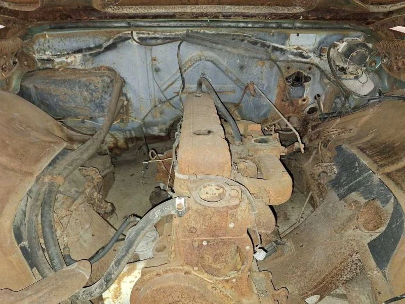 Bisagra del capó izquierdo del conductor compatible con Bel Air 1098817 1967 Foto 4 de 4