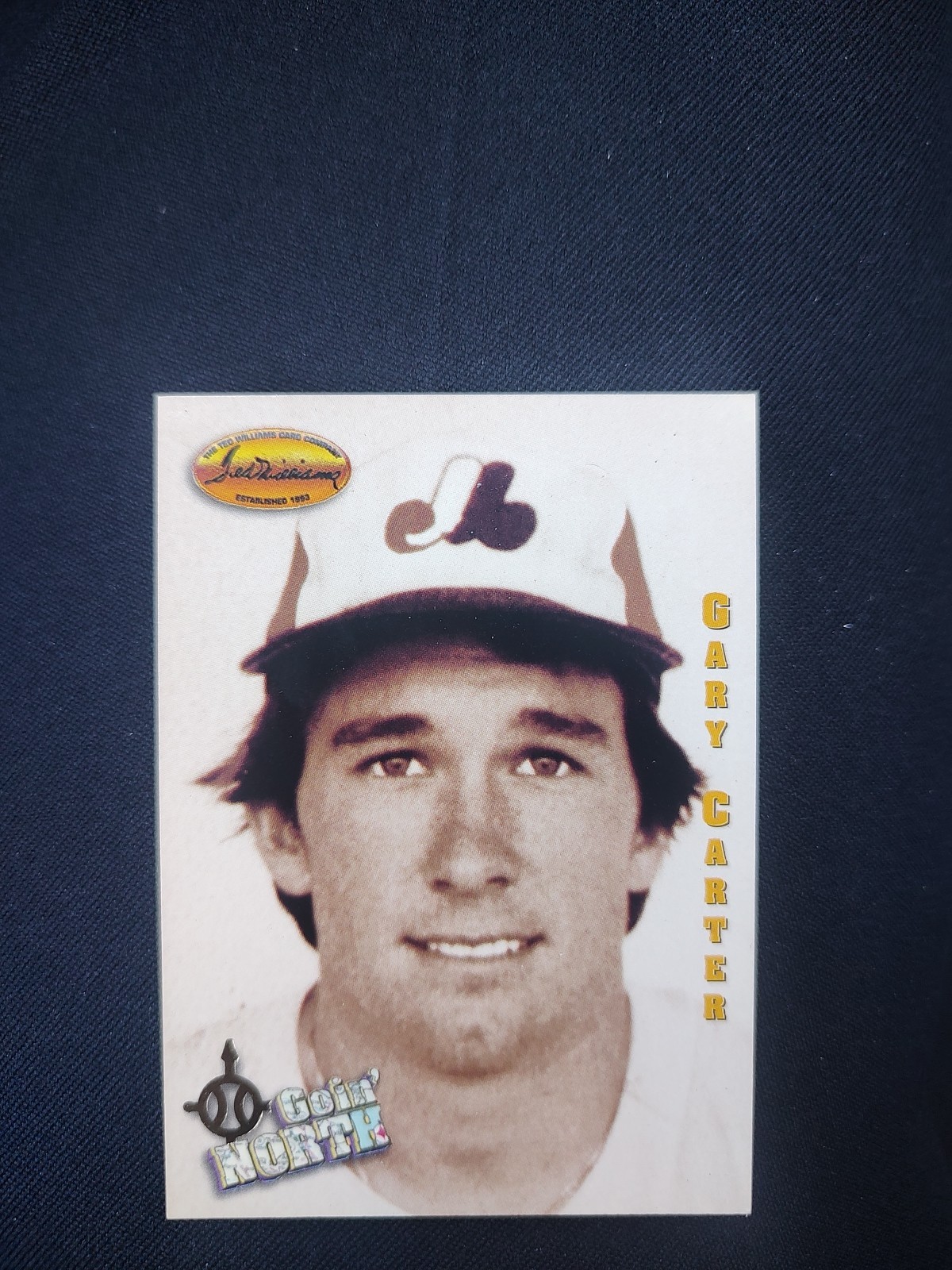 1994 Ted Williams Card Company - Gary Carter #136
