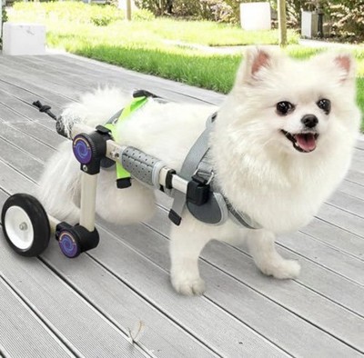 LetPetRun Adjustable Dog Wheelchair XS+ Rear Leg Support Pet Mobility Cart White