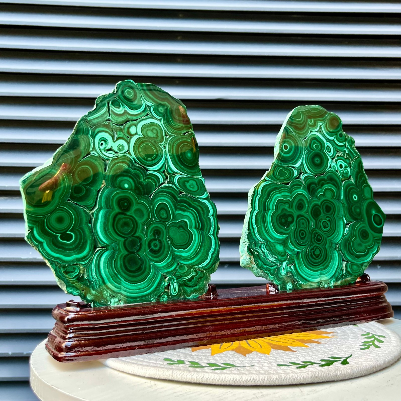 9.7 lb  Malachite Polished Slabs Pair Green Concentric Pattern Mineral Rock