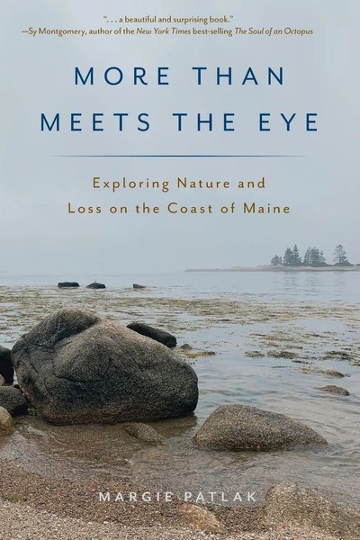 Margie Patlak | More Than Meets The Eye | Taschenbuch | Englisch (2021)-image
