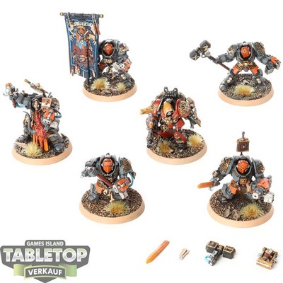 Grey Knights - 6x Grey Knights Paladins - bemalt