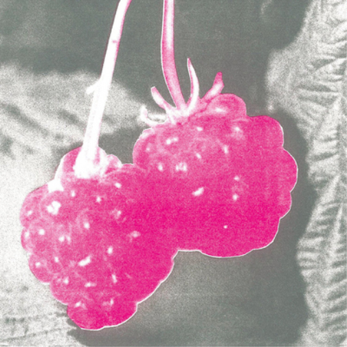 F.S. Blumm Welcome (Vinyl LP) 12" Album