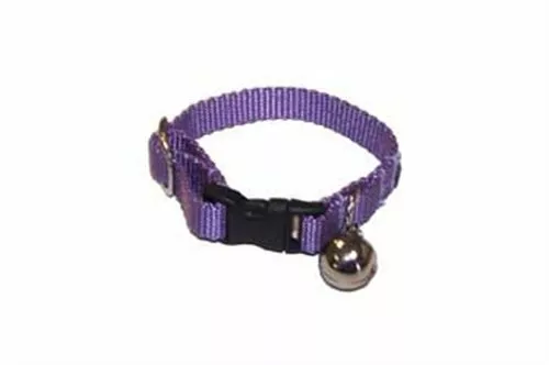 Ferret collars cheap