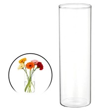 Clear Cylinder Vases, 8 Inch Tall Glass Flower Vase for Table Decor 19oz