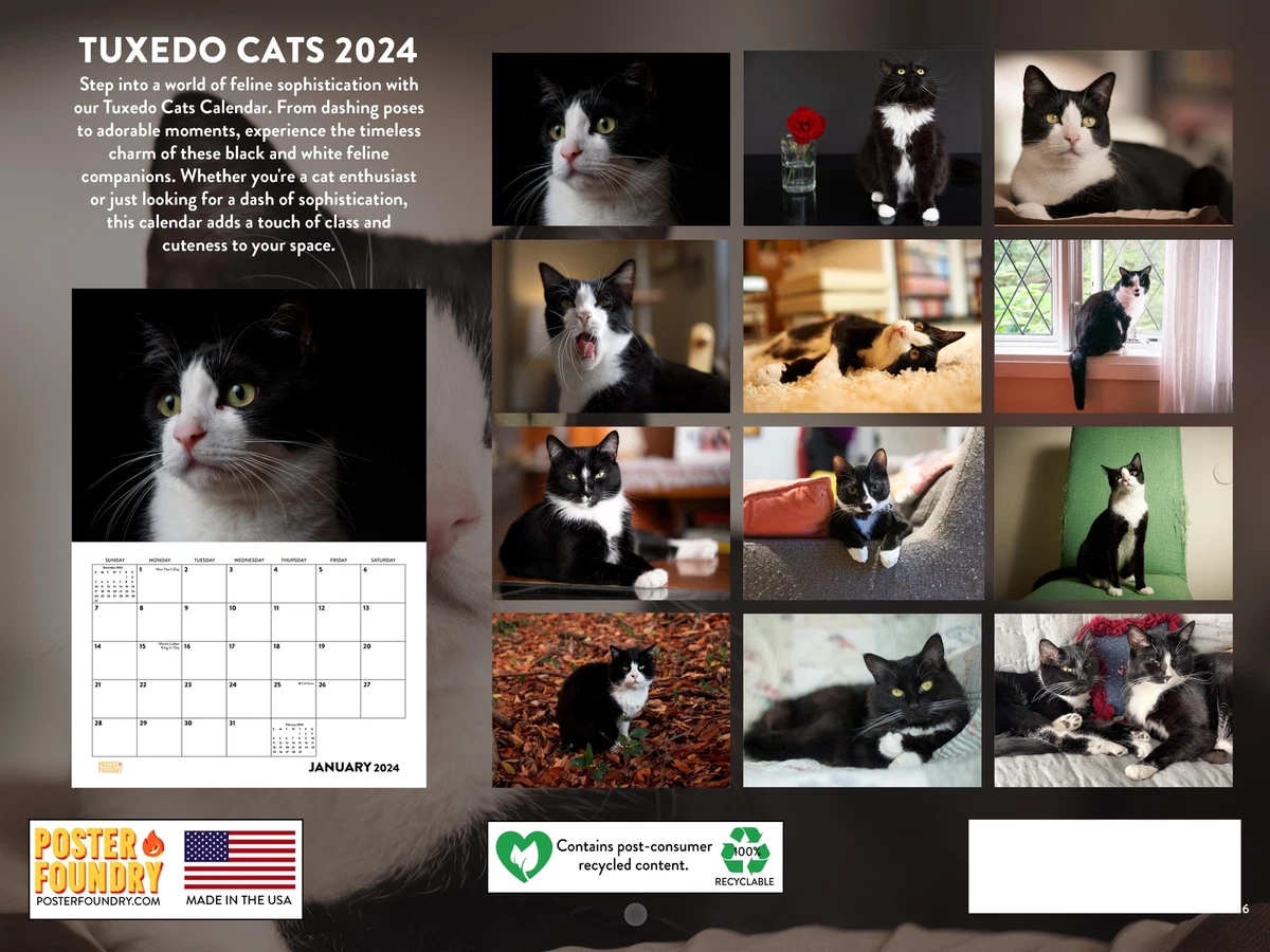 Tuxedo Cat 2024 Wall Calendar | eBay