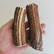 350.RED DEER HORN BLANKS.KNIFE HANDLE MATERIAL.(NATURAL).