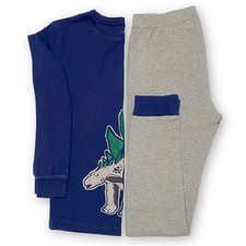 Carter  s Boys Size 12 Dinosaur Stegosaurus 2 Piece Cotton Long Sleeve Pajamas