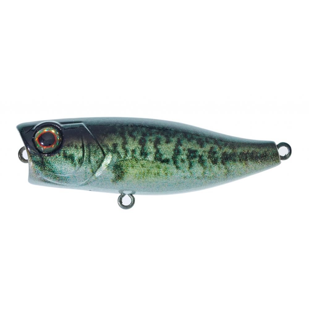 Illex Chubby Popper 42 RT Biwako Bass 42cm 33g Oberflchenkder Wobbler 6090₽