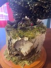 Bild 8 von 8