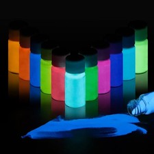 Glow in The Dark Powder 12 Colors Epoxy 0.7 Ounce Pack of 12 , 12 colors