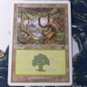 Magic The Gathering Classic Sixth Edition Forest 347/350