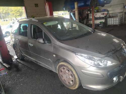Amortiguadores Maletero/Porton para PEUGEOT 307 BREAK/ SW (S2) * 2006 175852 - Imagen 6 de 7