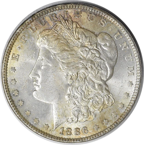 1886 Morgan Silver Dollar Choice BU Toned Uncertified #929