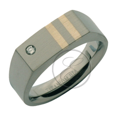Titanring & Silber gestreift diamantbesetzt Siegelring 5 mm Band