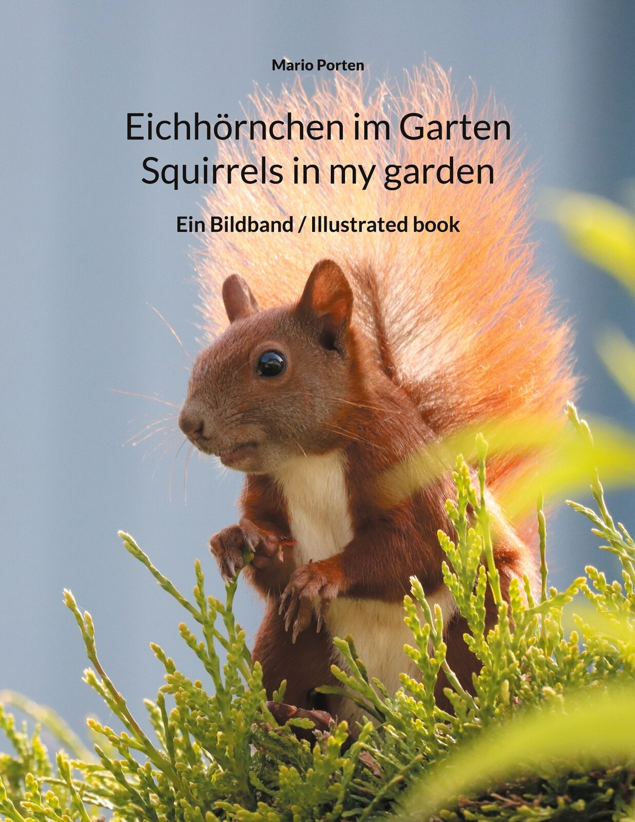 Thumbnail - Eichhörnchen Garten / Squirrels In My Garden (buch)
