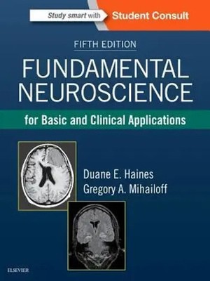 Fundamental Neuroscience for Basic and Clinical Applications | Haines (u. a.)