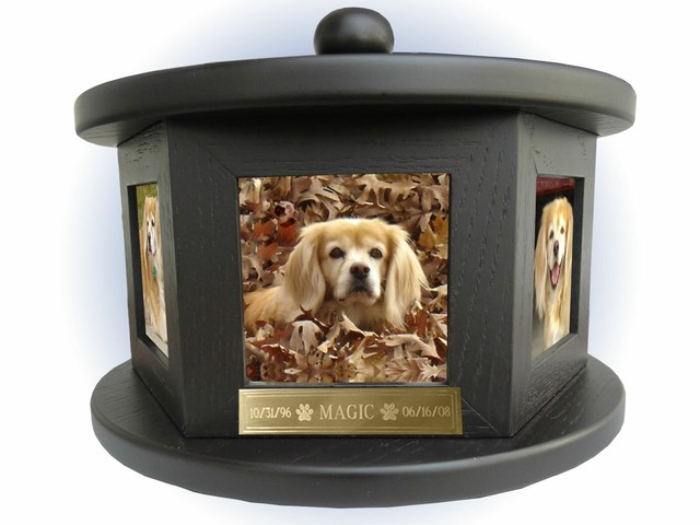 dog urns ebay