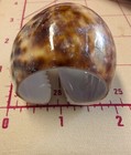 Foto 5 di 6