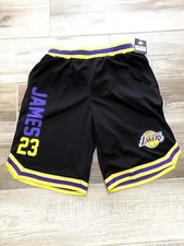 UNK NBA LEBRON JAMES 23 LA LAKERS BASKETBALL SHORTS BLACK PURPLE GOLD sz LARGE