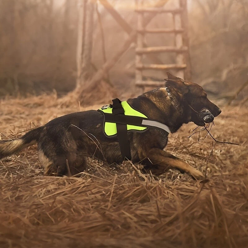 Dog Harness-Reflective No-Pull,Breathable Design and Handle,Comfortable Wear