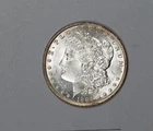 1884-O Morgan Dollar MS Coin Nice! #DJY10