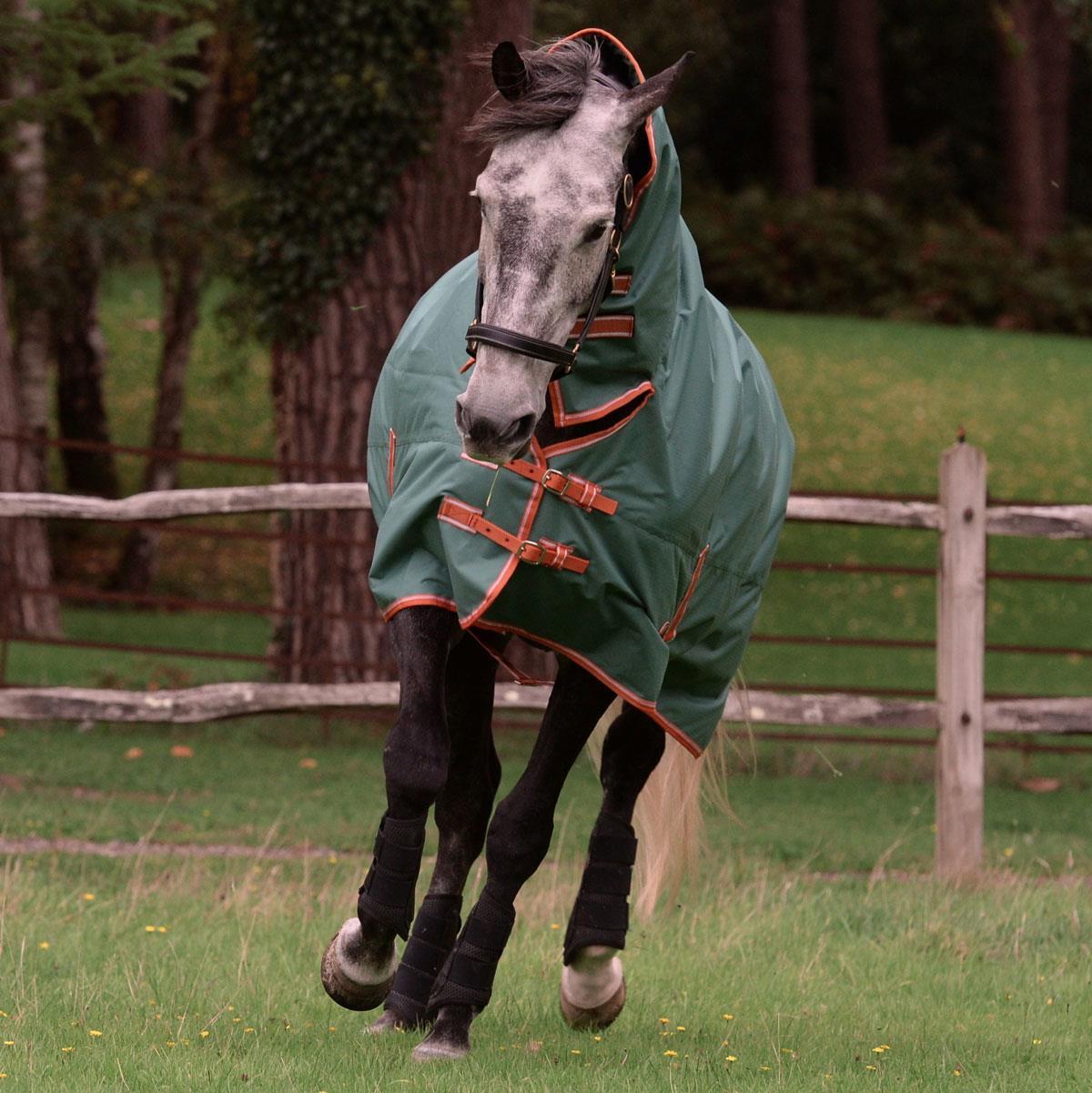 Weatherbeeta Comfitec Tyro Combo Neck 200g Turnout Rug Green eBay
