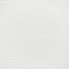 Toyota White Leather Dye