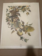 Vintage Prints From Various Famous Artists In Great Condition