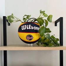 Indiana Fever Basketball Planter | WNBA Gift | Caitlin Clark Fan Gift | Fever Ho