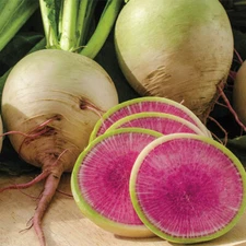 Watermelon Radish Seeds | Heirloom / Non-GMO | Free Shipping | Seed Store | 1084