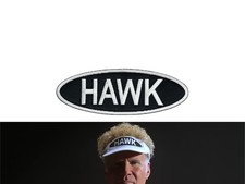 Lonnie the HAWK Hawkins Embroidered Patch - f...