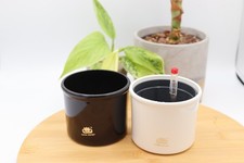 Easy Watering SET-  Self watering Plant Pot FOR PON, Soil, MIX-  BLOOMLINE