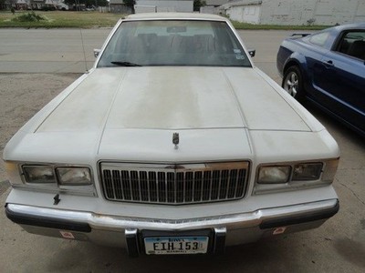 (LOCAL PICKUP ONLY) Trunk/Hatch/Tailgate Excluding Station Wgn Fits 79-91 GRAND 