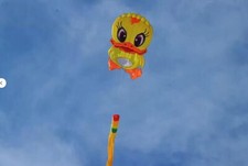 2025 New 3D software kite / flying small yellow duck / cartoon kite