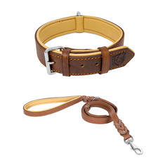 Riparo Leather Padded Dog Heavy Duty K-9 Adjustable Collar and Braided Leash Set