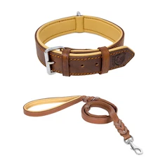 Riparo Leather Padded Dog Heavy Duty K-9 Adjustable Collar and Braided Leash Set