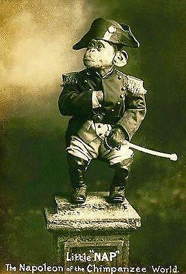 1915 Circus - Little NAP - The Napoleon of the Chimpanzee World #2
