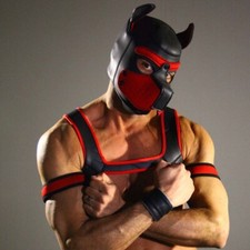 Puppy Play Gay Pride Neopren Harness Schulter...
